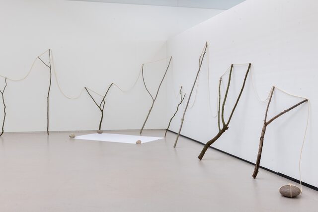 Kunstwerk van Kishio Suga. Boomtakken staan ongeveer 1 meter uit elkaar en zijn verbonden door een touw.