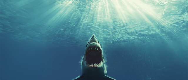 Jaws