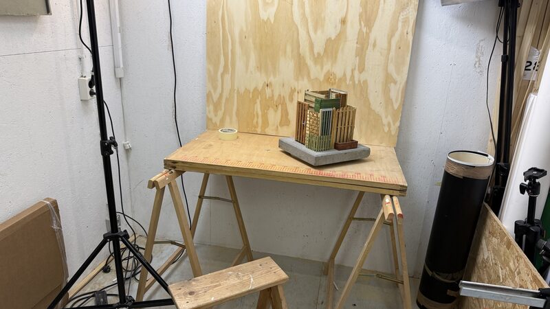 Anna Reerds NPO Cultuur