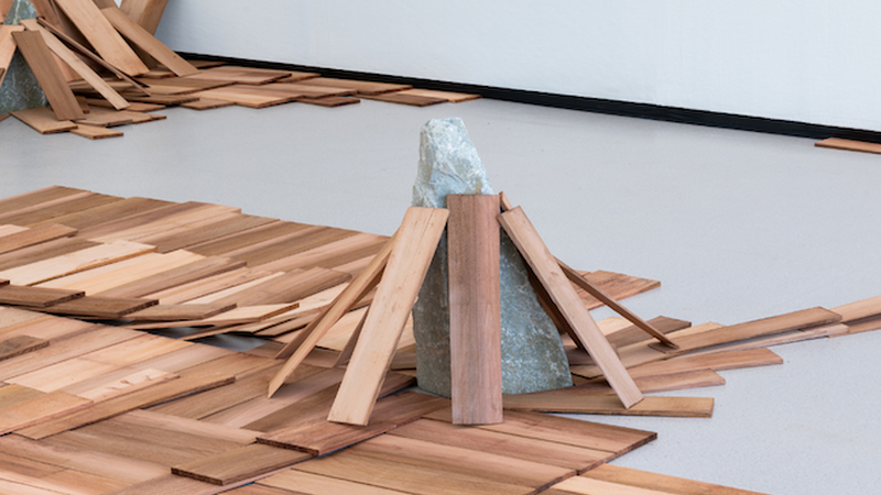 Kunstwerk van Kishio Suga; houten latjes liggen verspreid op de grond en sommigen leunen tegen een steen.
