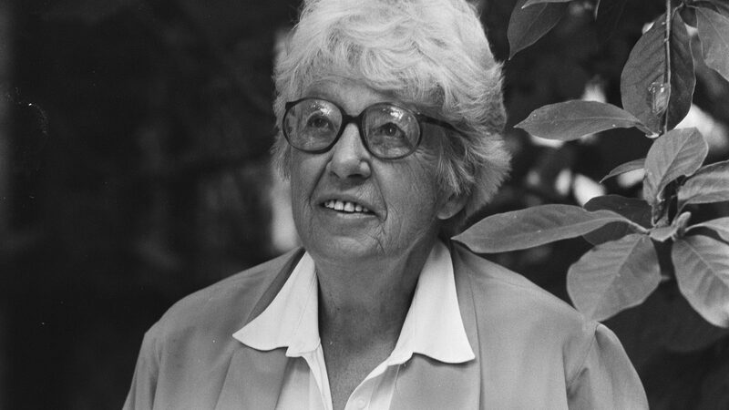 Annie M G Schmidt opdracht Gelderlander koppen Bestanddeelnr 933 7337