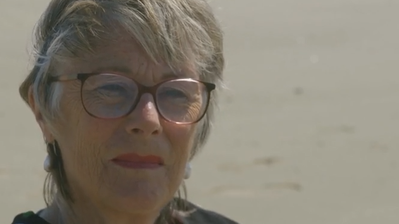 Arita Baaiijens