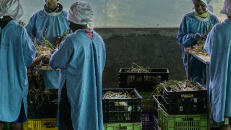 COVER Food for Thought