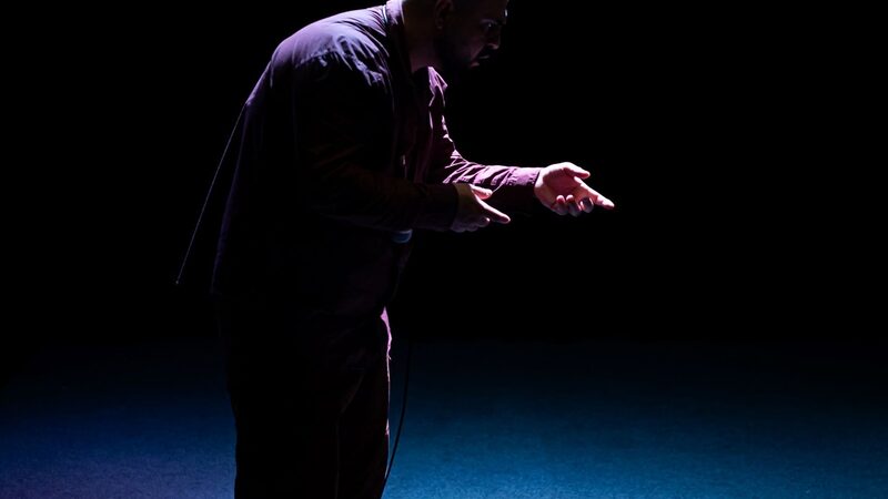 Copy of THE HORSE OF JENIN TROUPE COURAGE Kamerich Budwilowitz 9