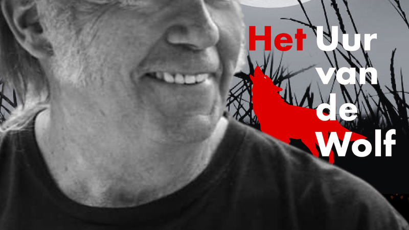 Formaat Cover Website 7