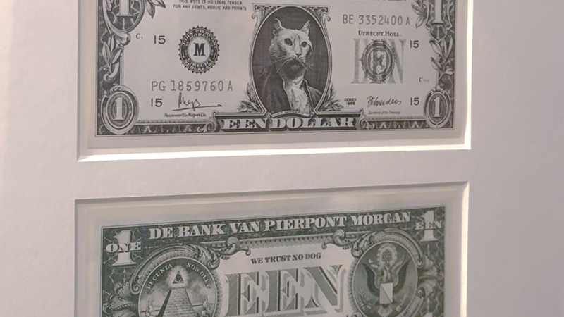 Amerikaans dollarbiljet met kat genaamd J.P. Morgan erop.