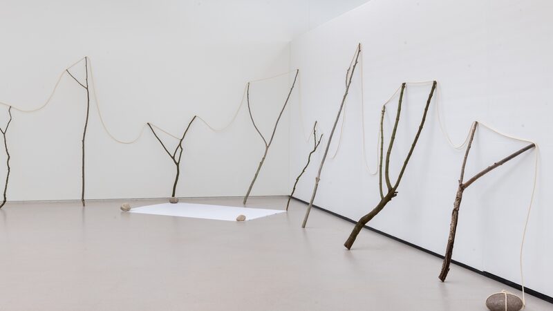 Kunstwerk van Kishio Suga. Boomtakken staan ongeveer 1 meter uit elkaar en zijn verbonden door een touw.