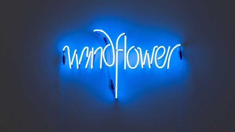 Large KM 121 179 Ian Hamilton Finlay Windflower 1975 photo Marjon Gemmeke 2