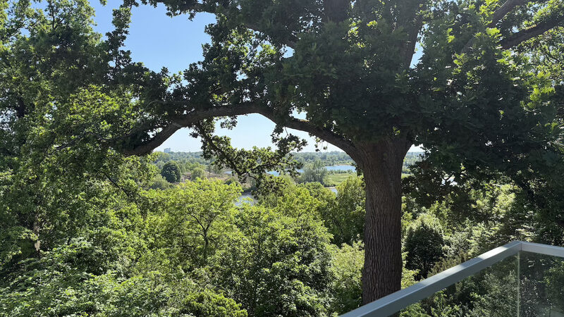 Museum arnhem uitzicht
