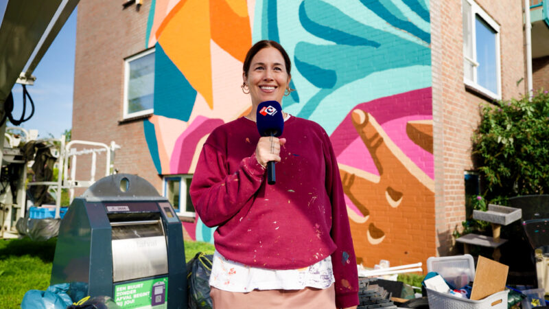 NPO Cultuur Hedy Tjin 3