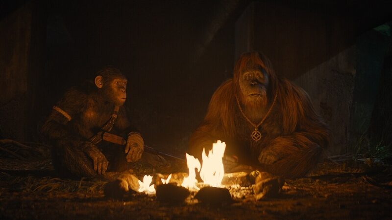 Monke 1