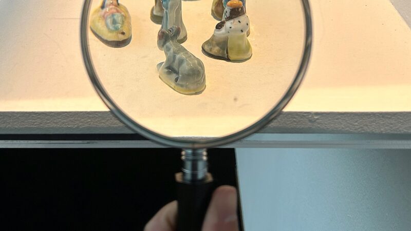 Vergrootglas