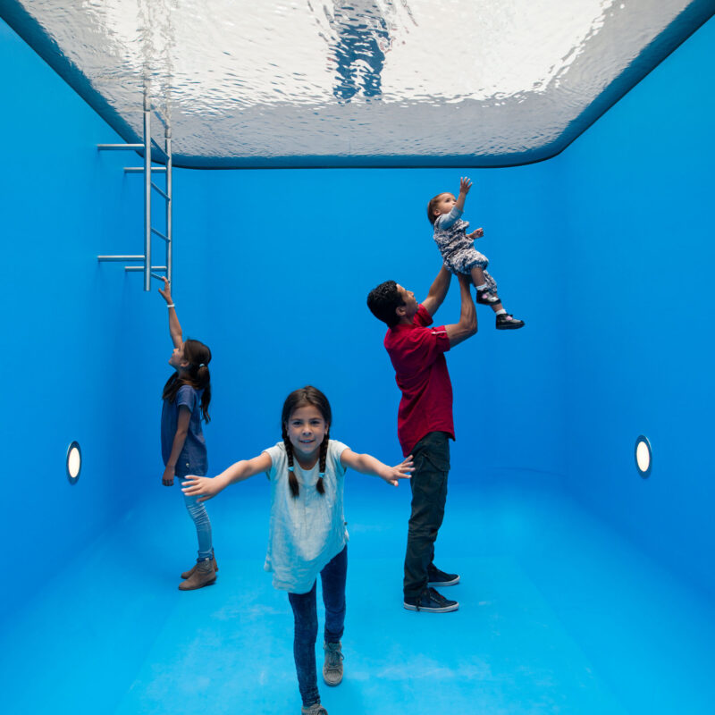Erlich Swimming Pool NPO Cultuur