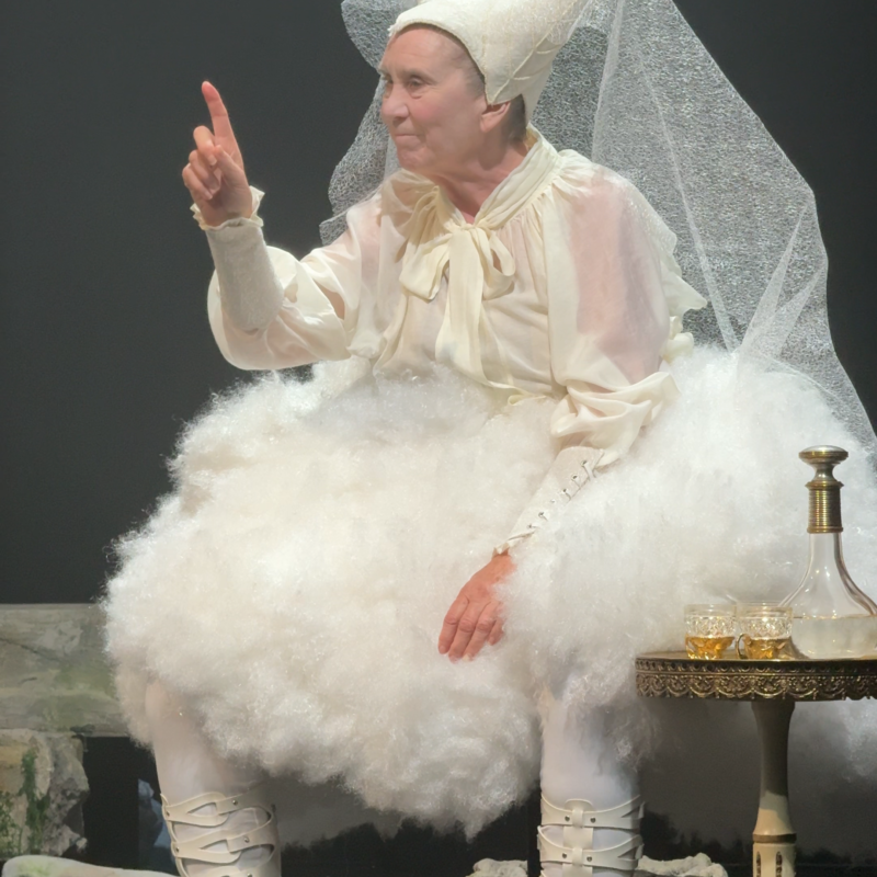 Een foto van Marisa van Eyle, die de moeder speelt in dit stuk. Ze heeft een witte fluffy jurk aan en een hoed op met twee grote punten en heel veel tule eraan. Ze heeft puntige schoentjes aan. Ze ziet er heel erg uit als een soort fee uit een sprookje, heel erg over the top.
