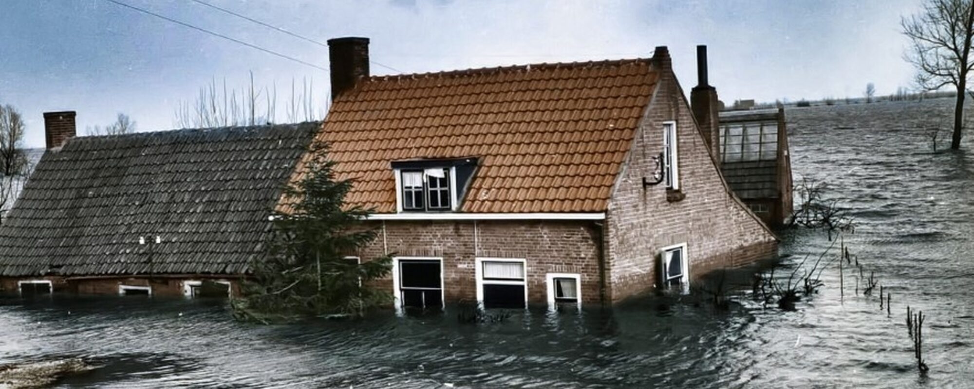 Schermafbeelding 2022 12 12 152735