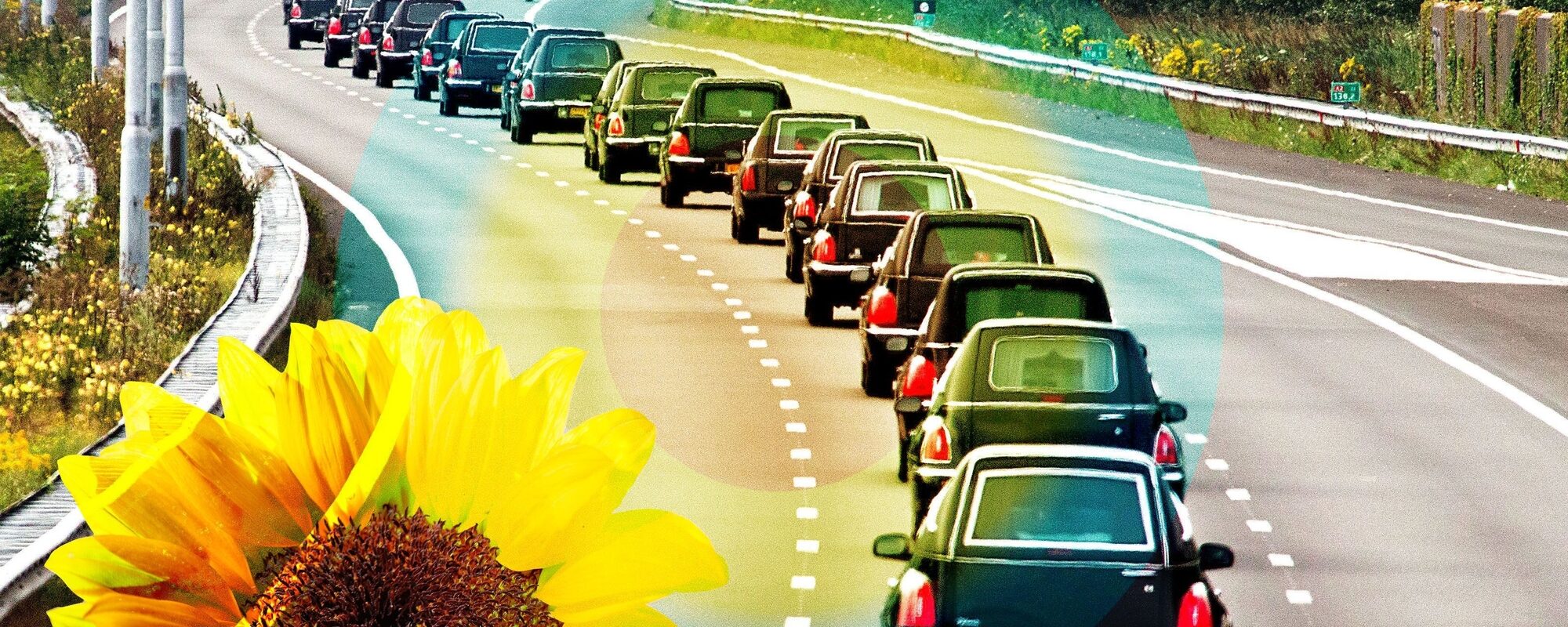 Lange slinger rouwwagens over de snelweg met symbolische zonnebloem