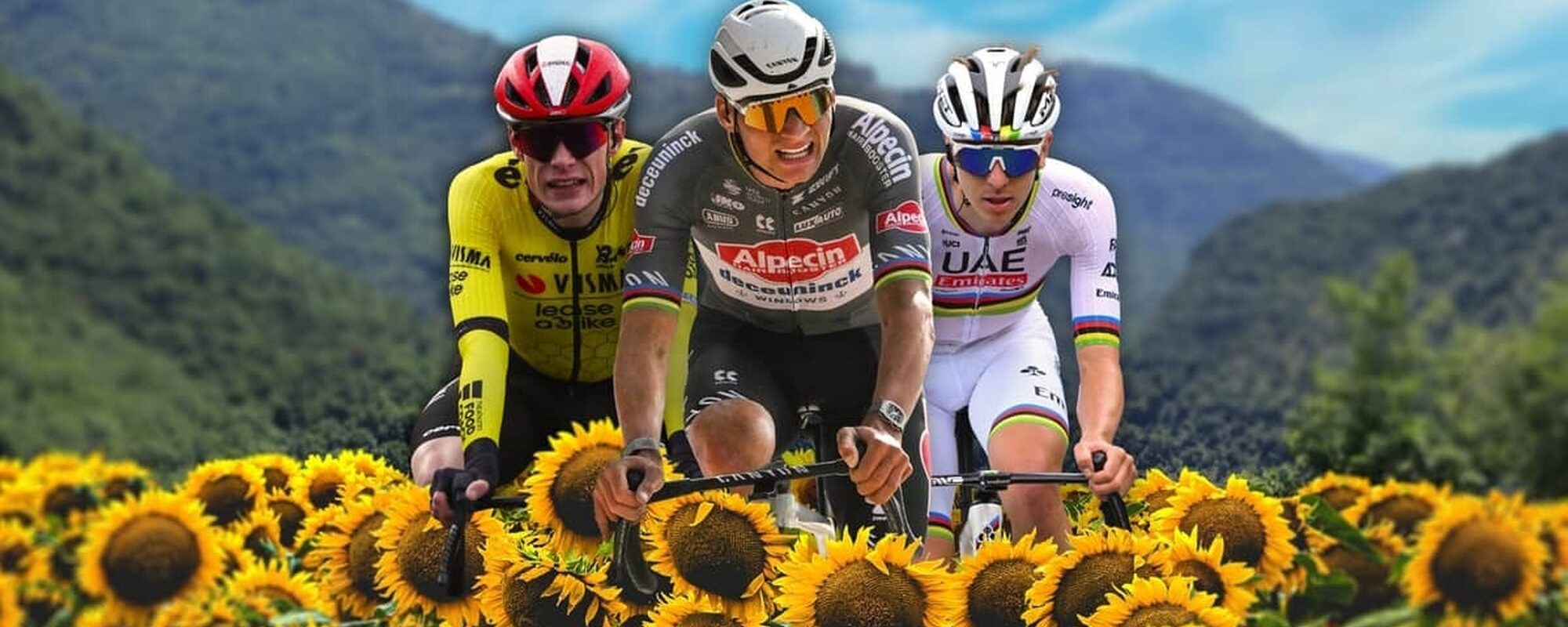 Wielrenners en zonnebloemen