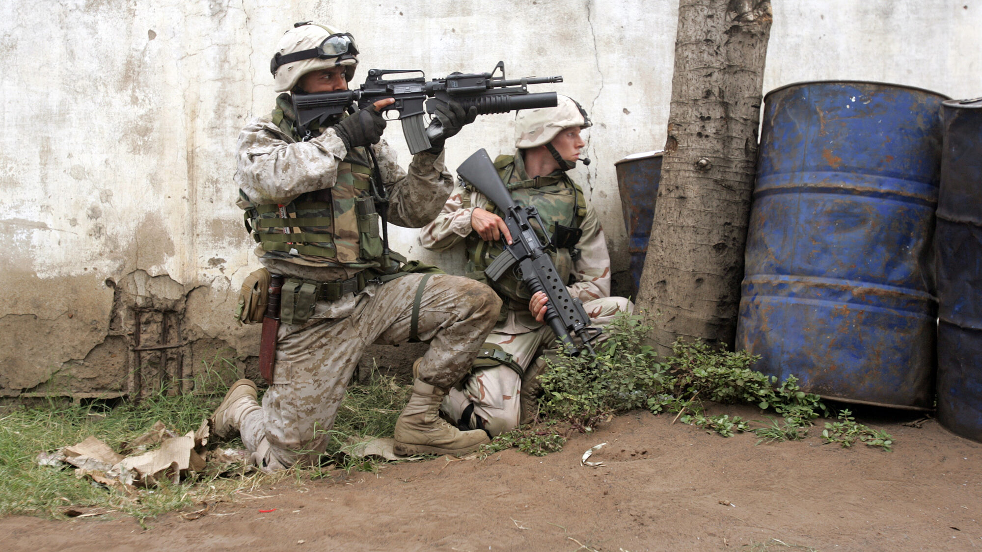 102 reviews bomb in the garden 04 1920 1497459558