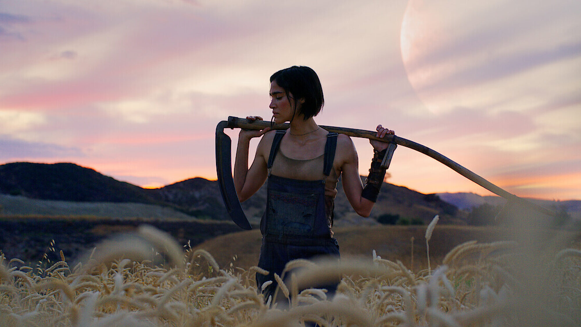 10305 reviews rebel moon 5 1703075519