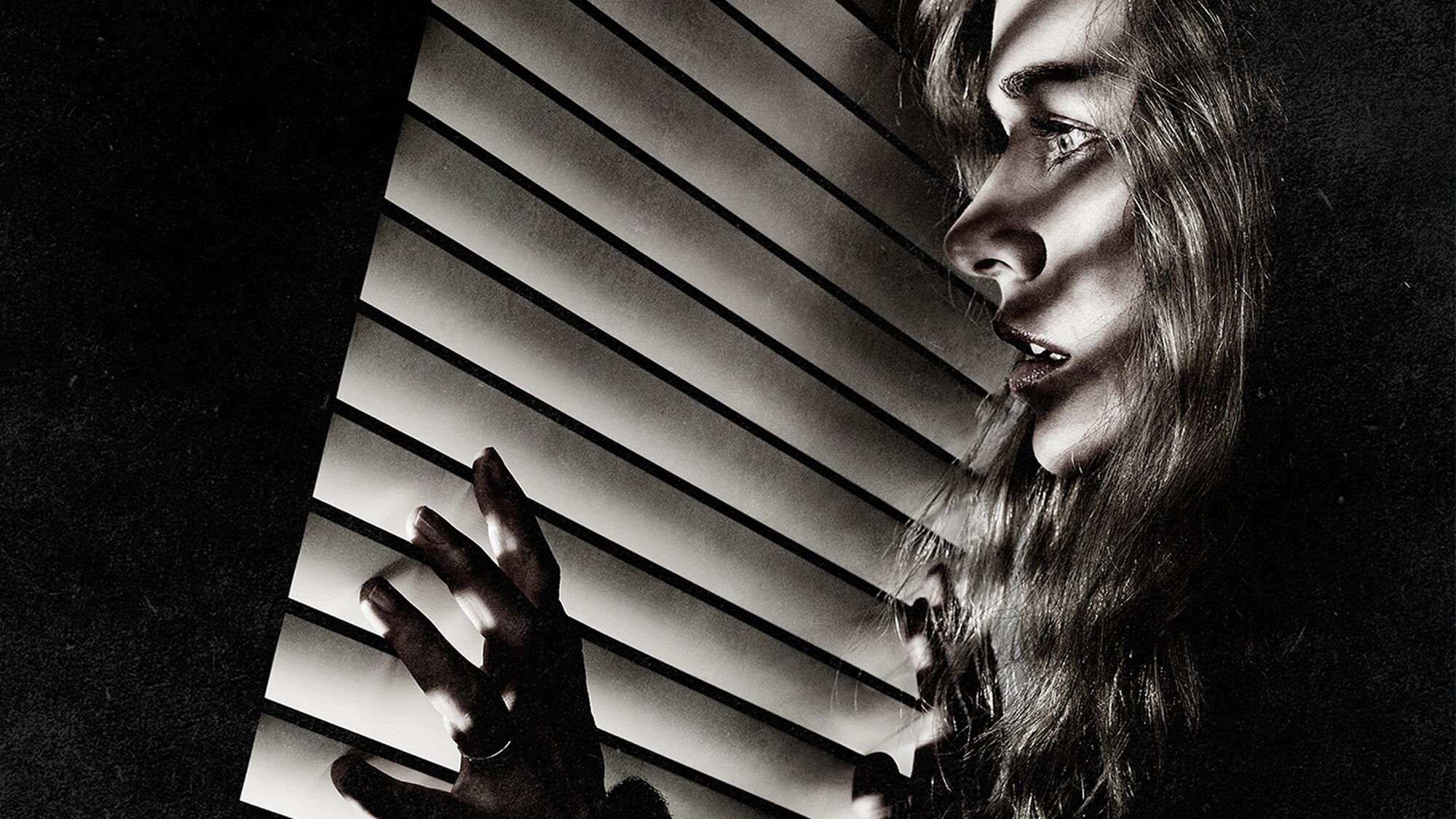 119 reviews Shut In Rhumb NPO 1497459705