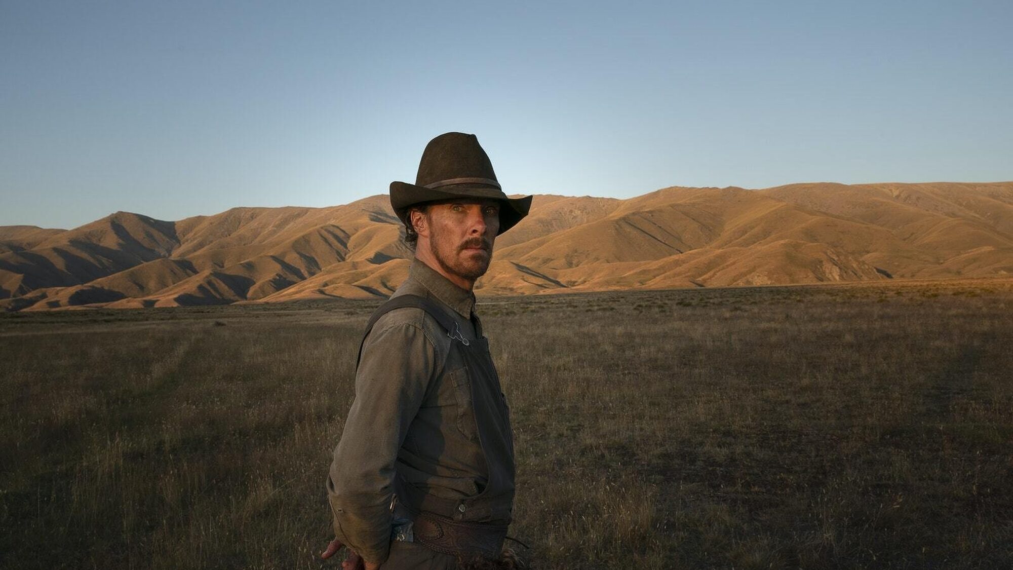 1300 reviews the power of the dog 1 1644329702