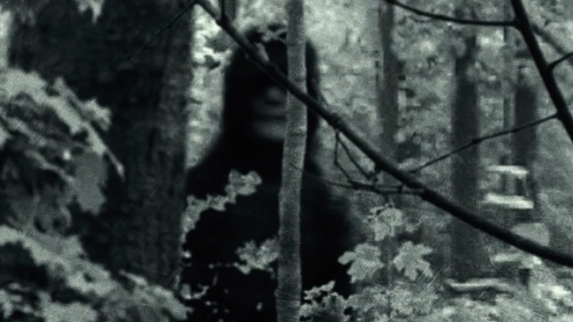 167 reviews The Bye Bye Man Review Movie Idiots NPO 1497460298