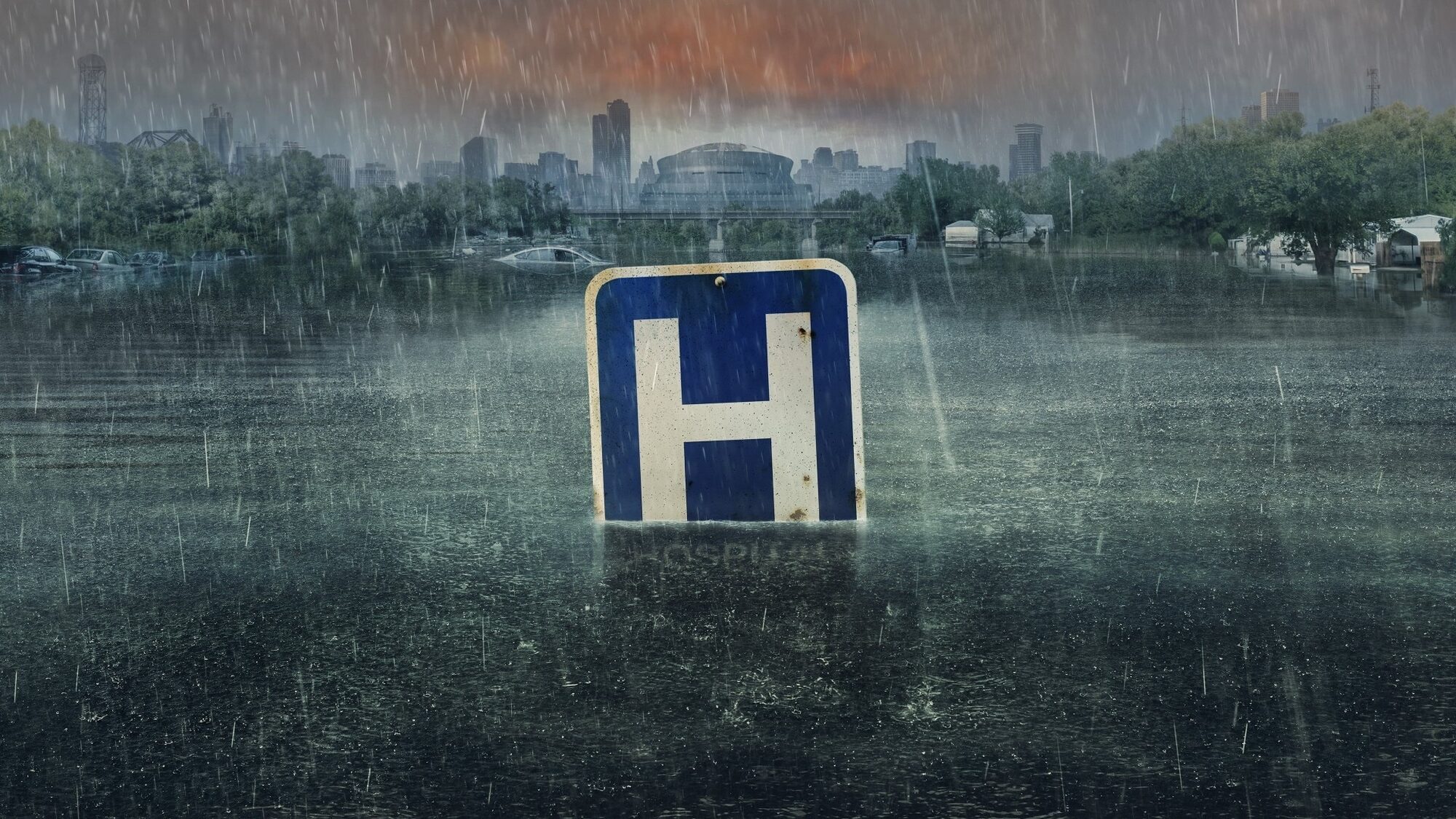 2187 reviews 62c0f61217969 1660046161