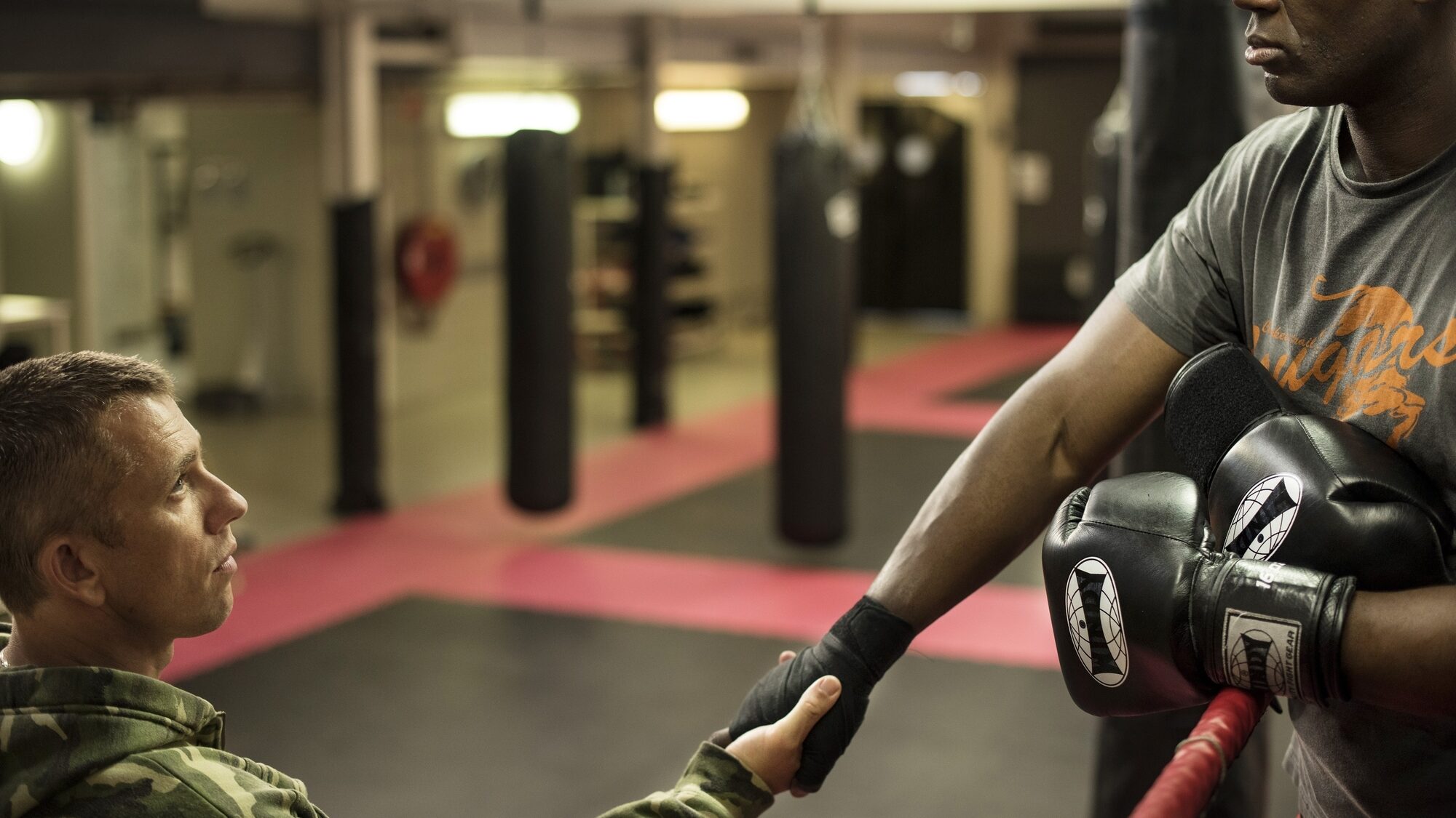 269 reviews vechtershart 4 1497455599