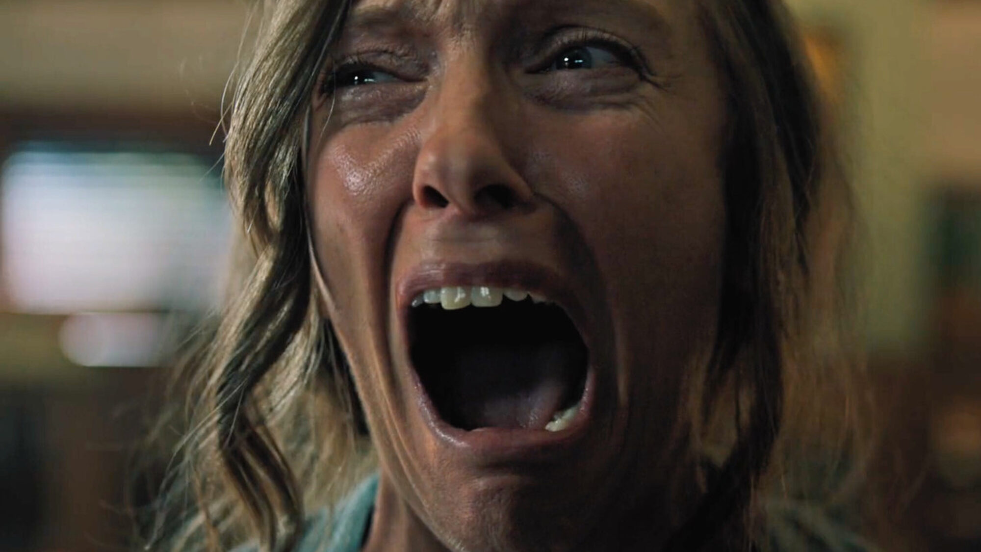 2881 reviews hereditary 1 1666104994