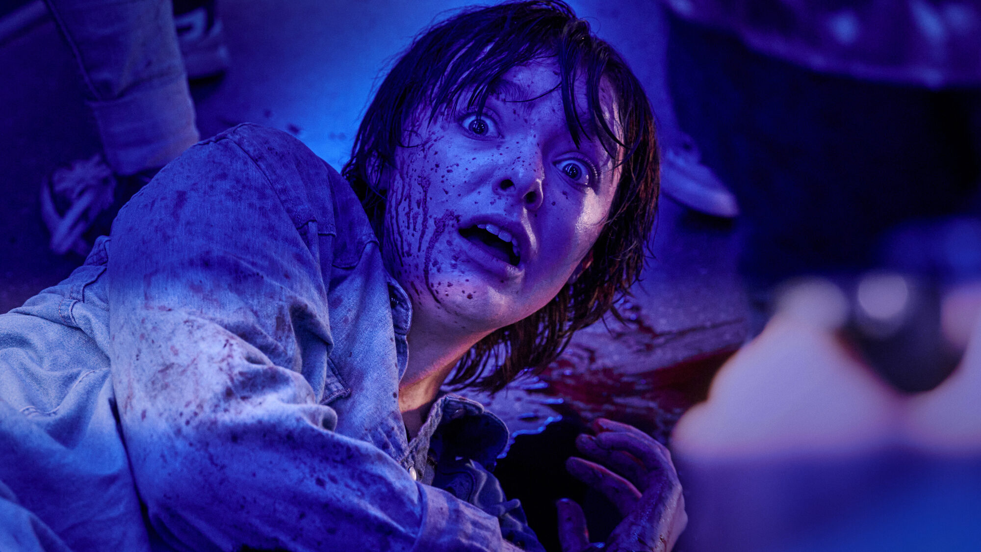 1305 reviews TCM D38 05484 R 1645128622