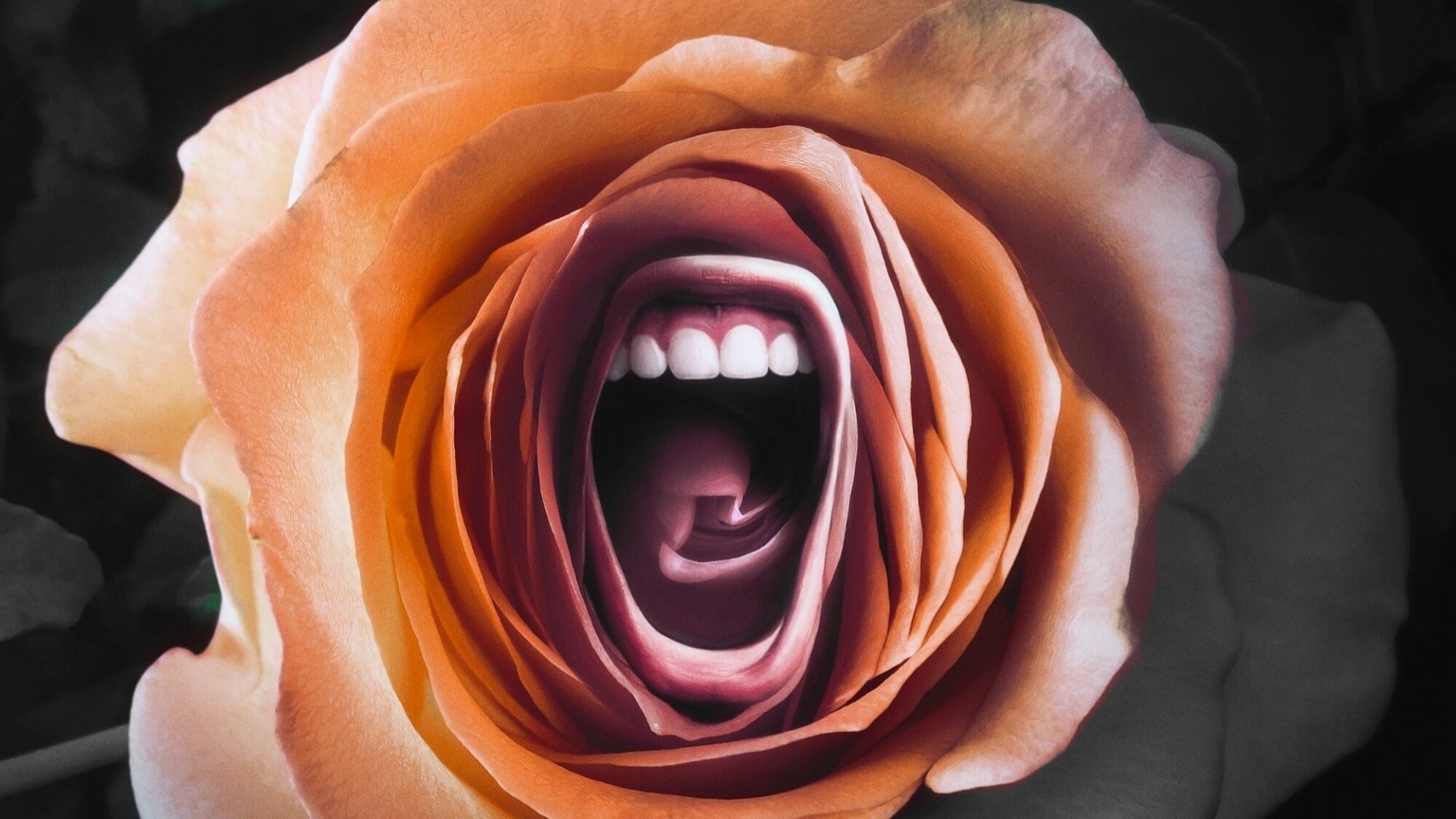 1663 reviews Roar 1655388396