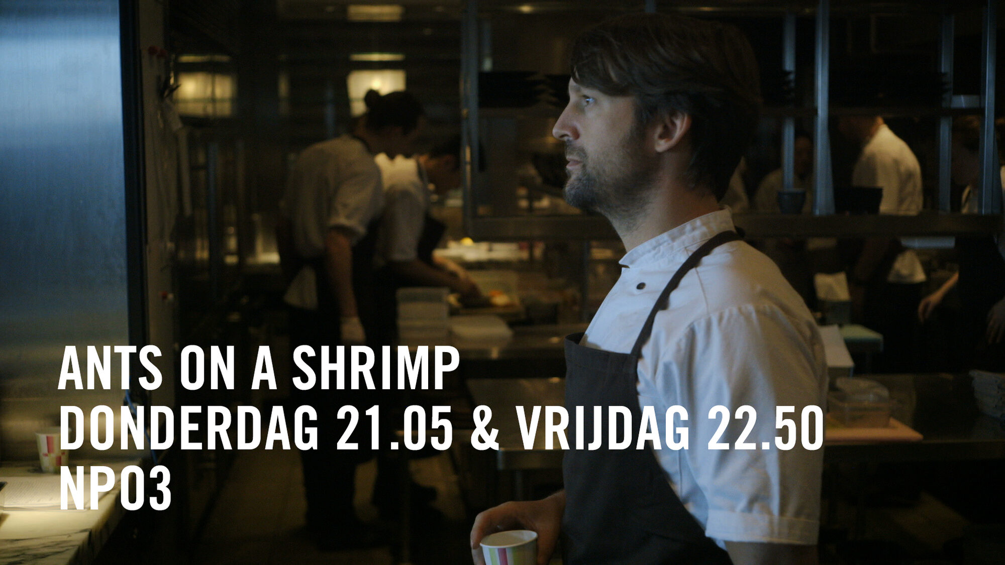 303 reviews Ants on a Shrimp II 1497462559