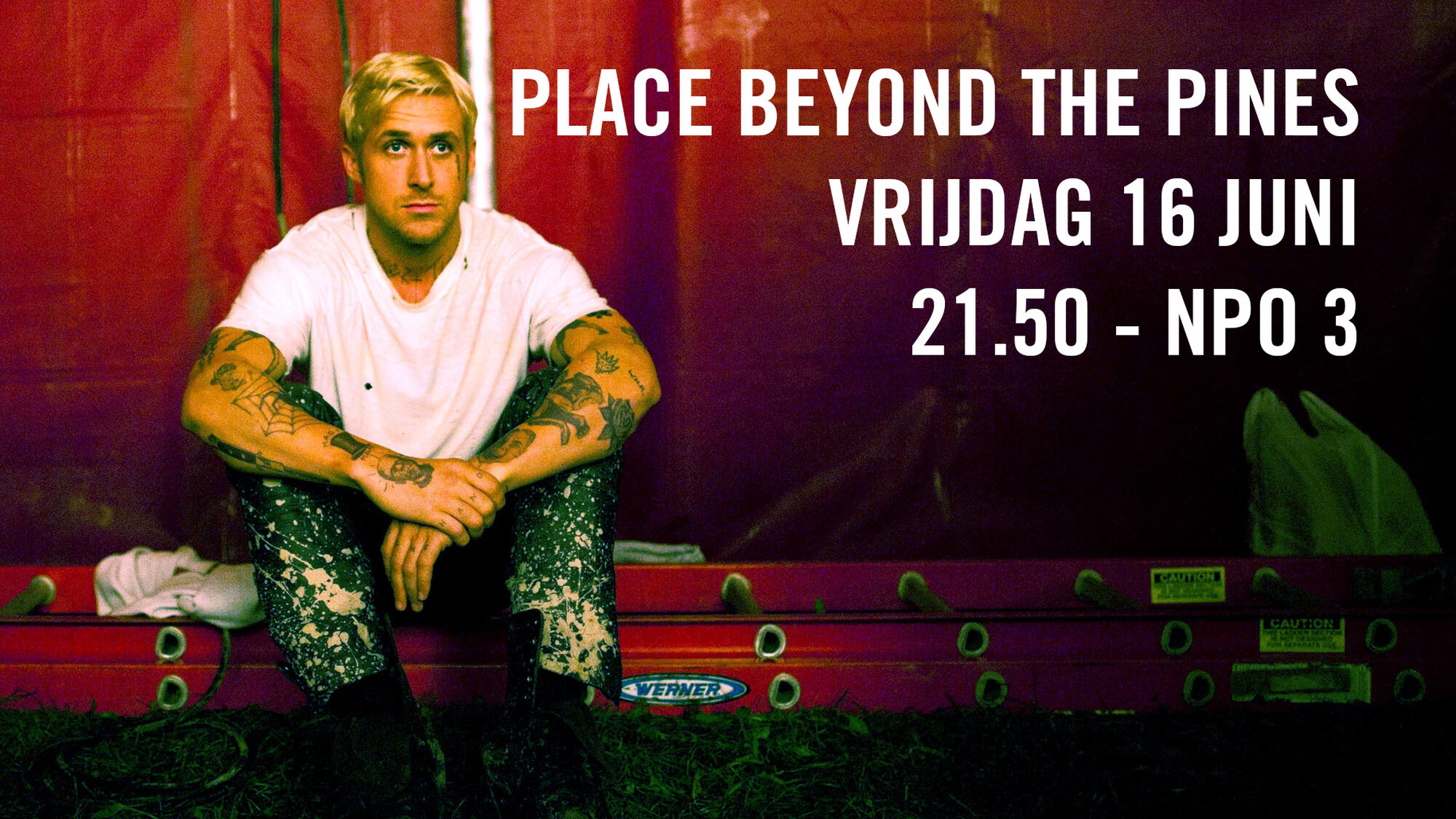 319 reviews PLACEPINES ARTIKEL 1497462958