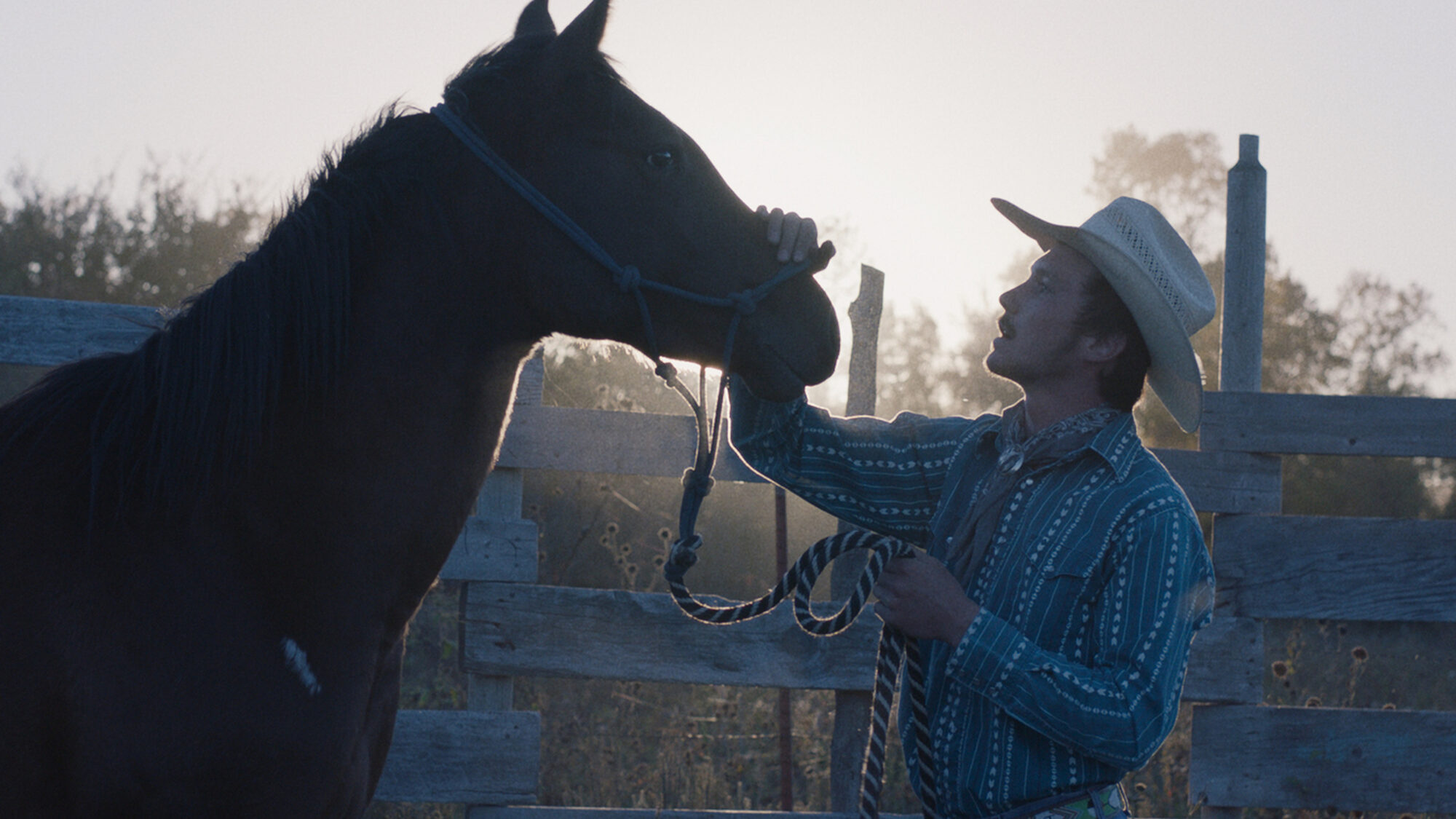 455 reviews The Rider st 4 jpg sd high 1524041509