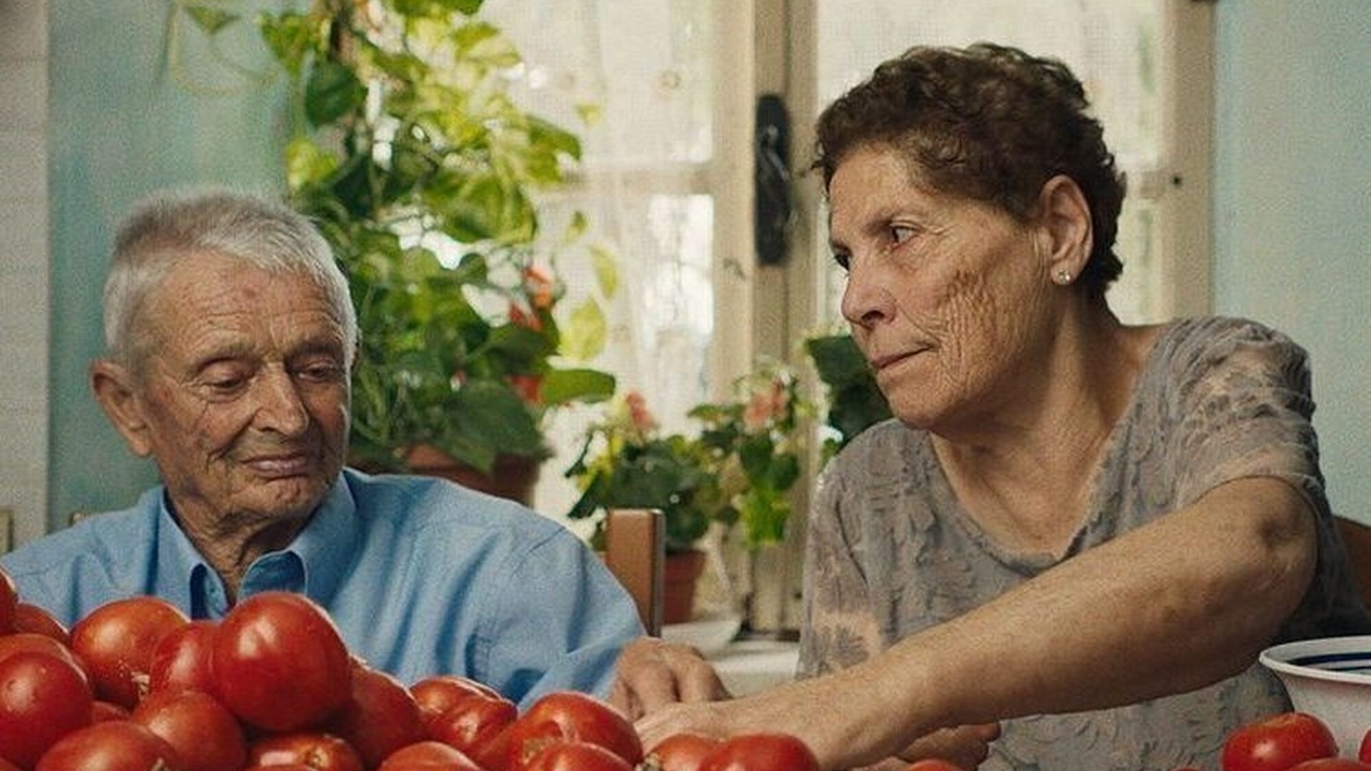 Oude man en vrouw zitten aan een tafel vol tomaten