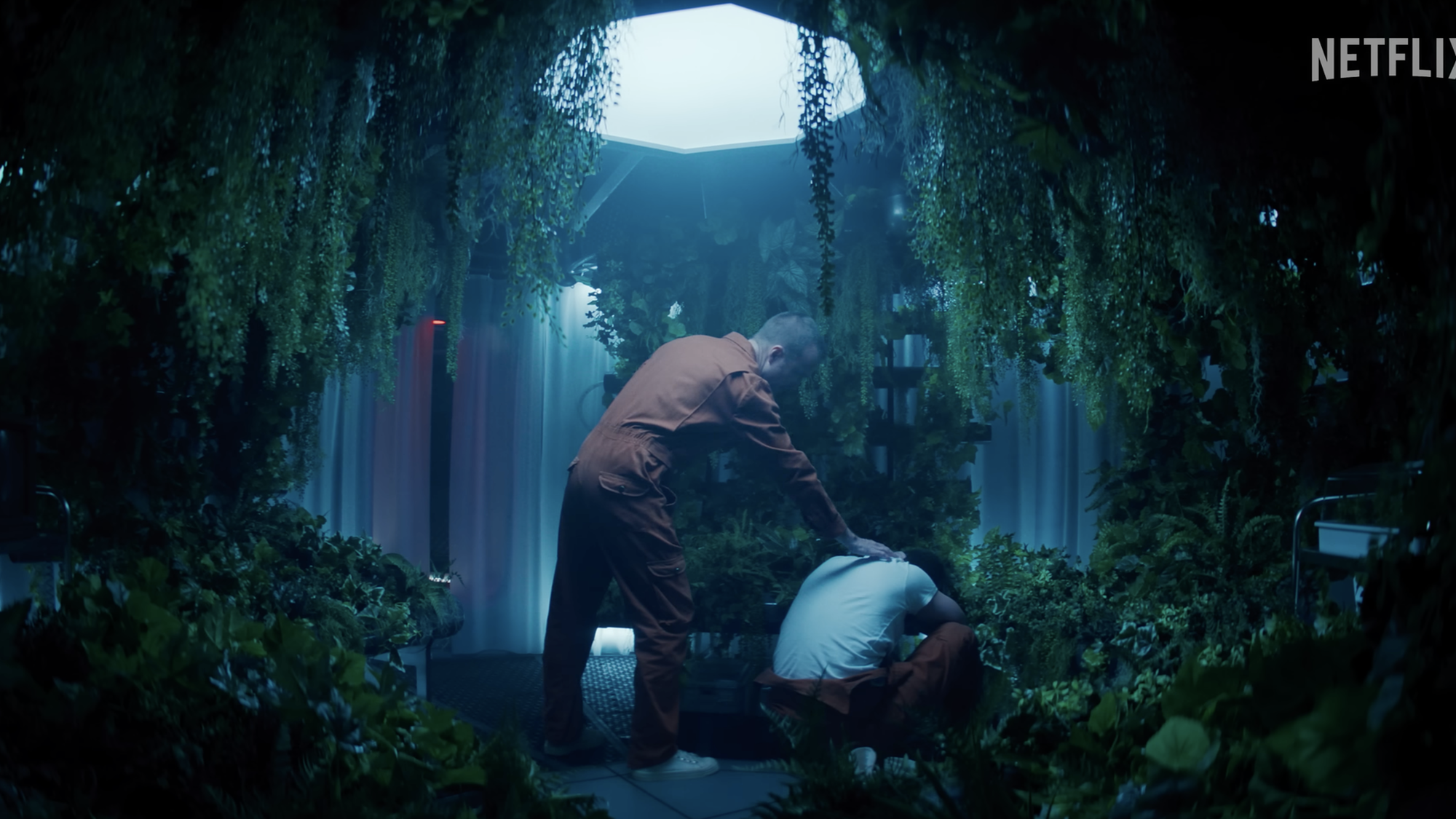 4829 reviews Black Mirror 6 1685572596