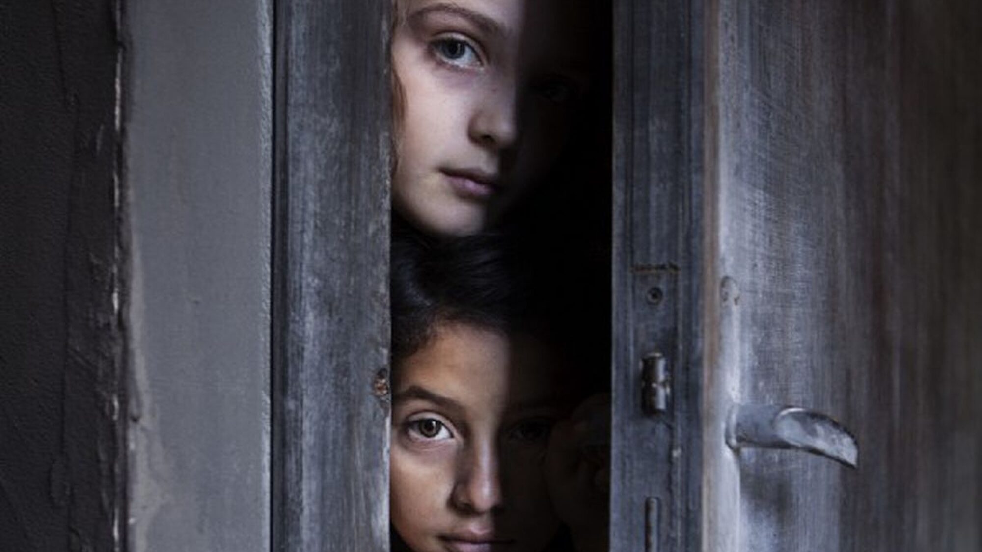 590 reviews mbf door 0 1544363651