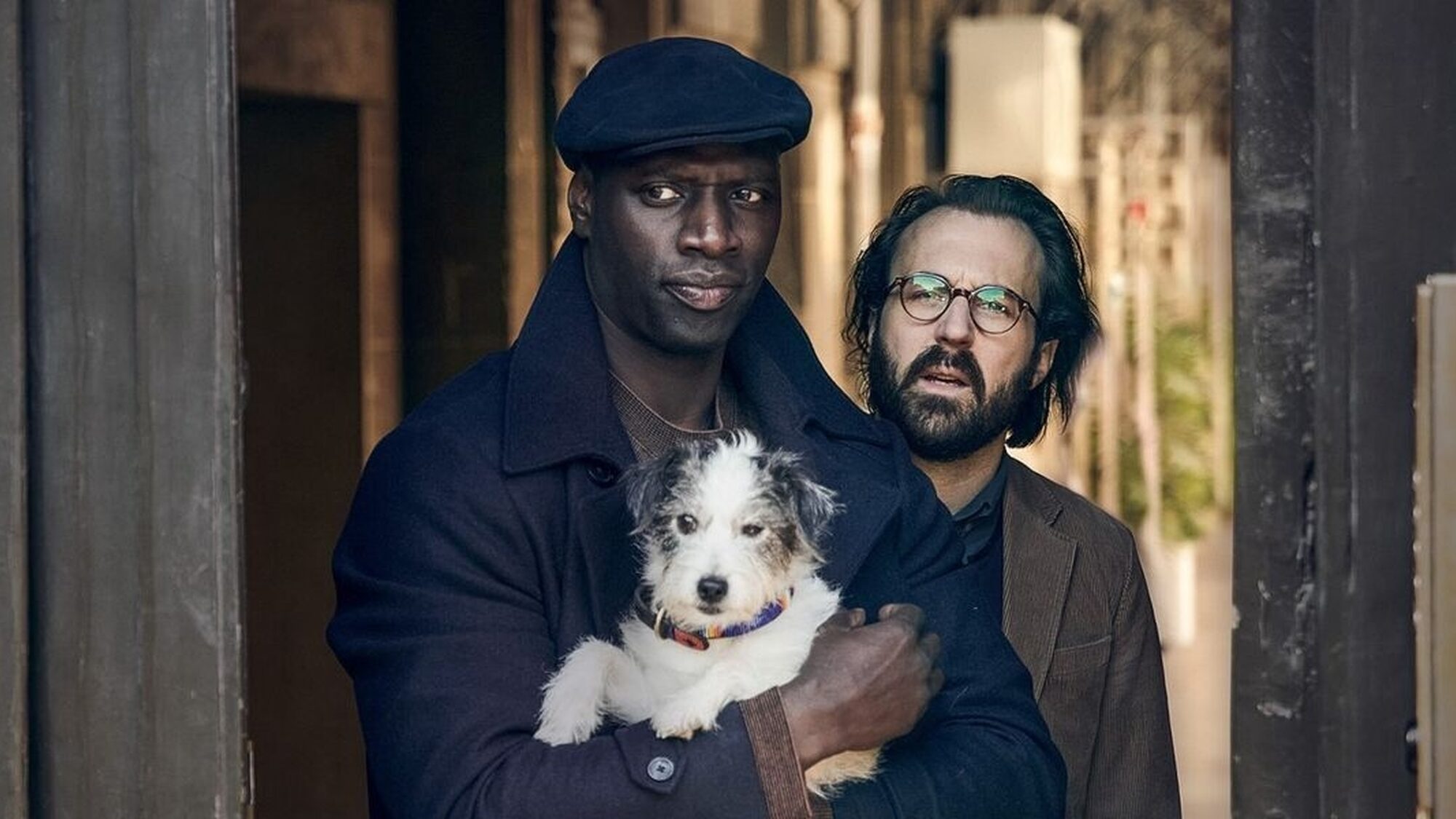 6150 reviews Lupin dog 1696432613