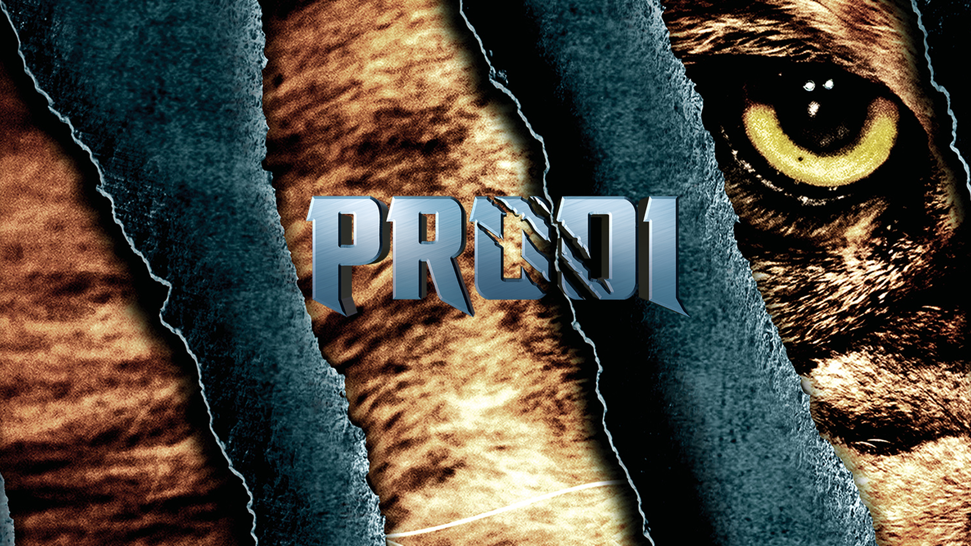 75 reviews Prooi Laatste Woord NPO 1497459246