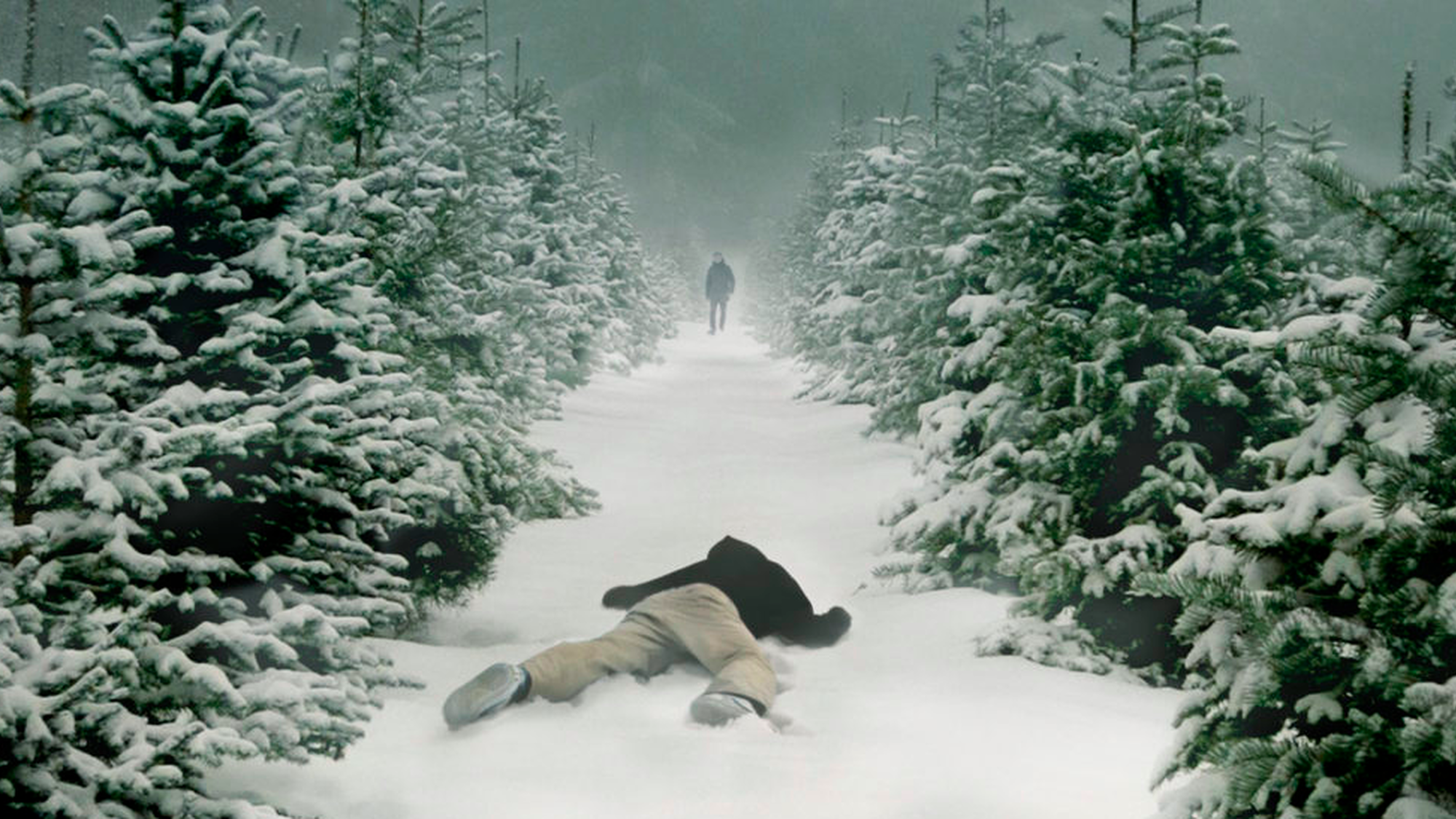 762 reviews Wisting 1574084616