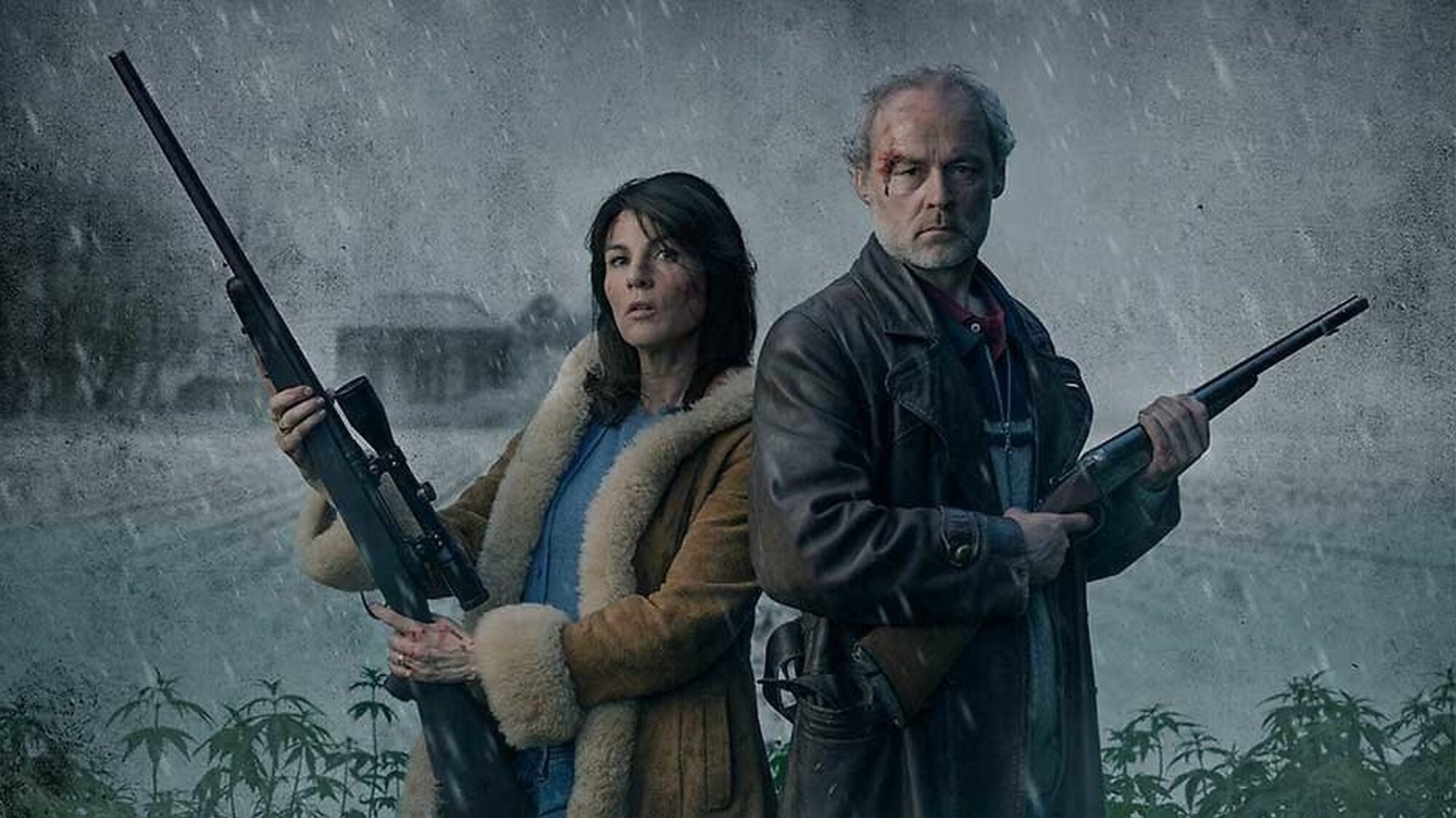 786 reviews Hollands Hoop 1578305877