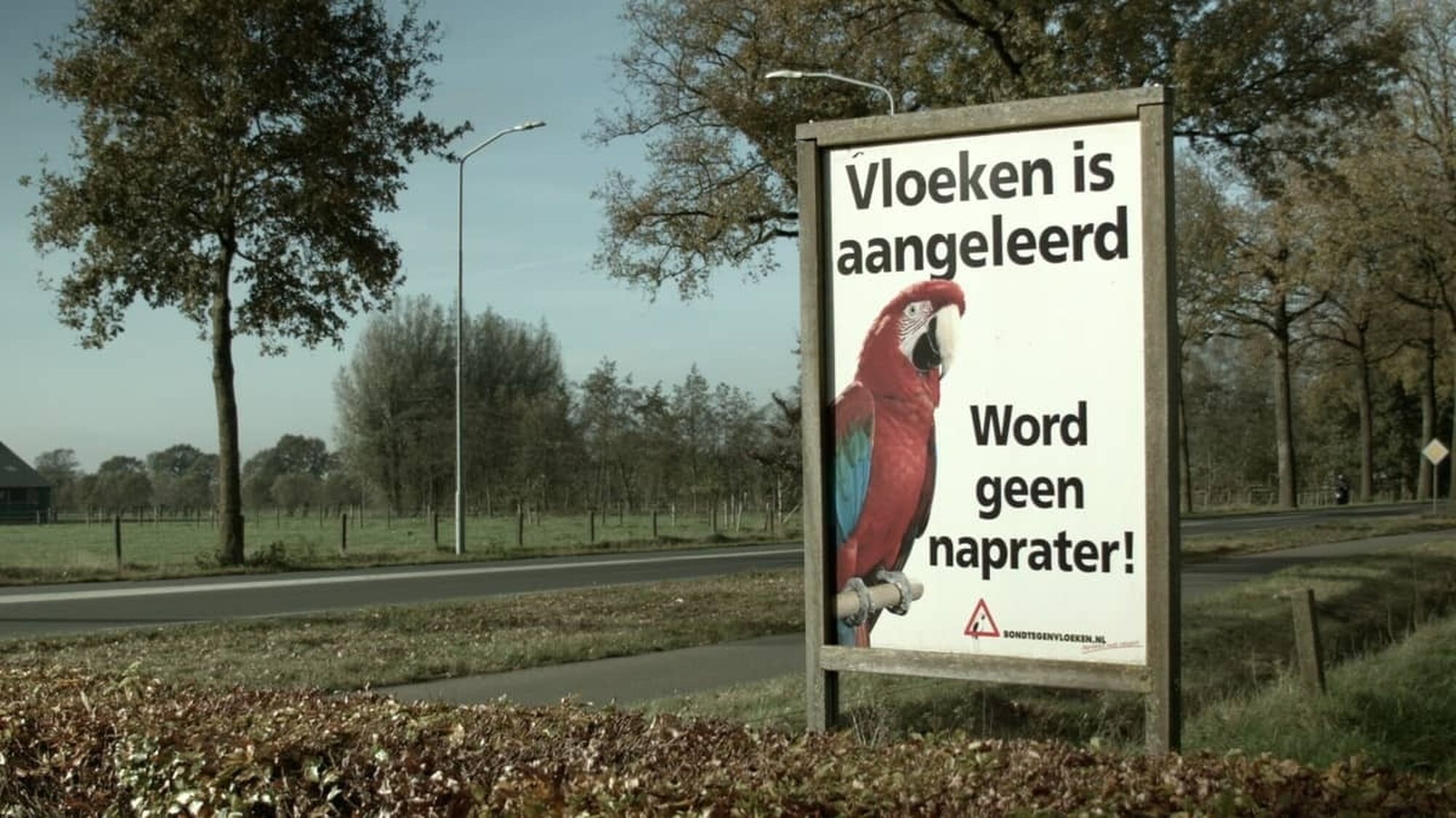 81dfb850 274c 4d9c bc89 e9b5f87ae3e6 2