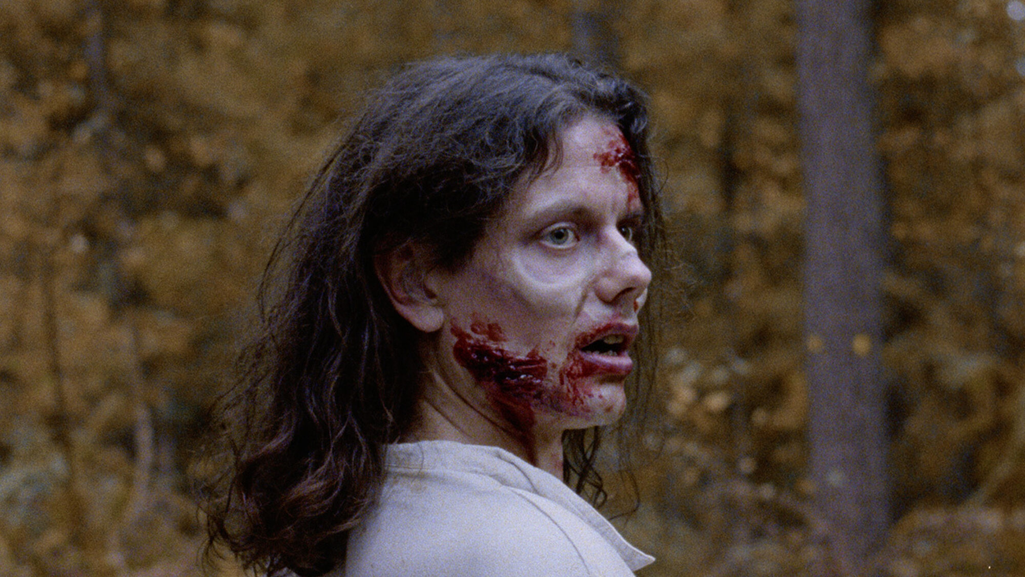 82 reviews Doorbijten Thumb2 1497459288