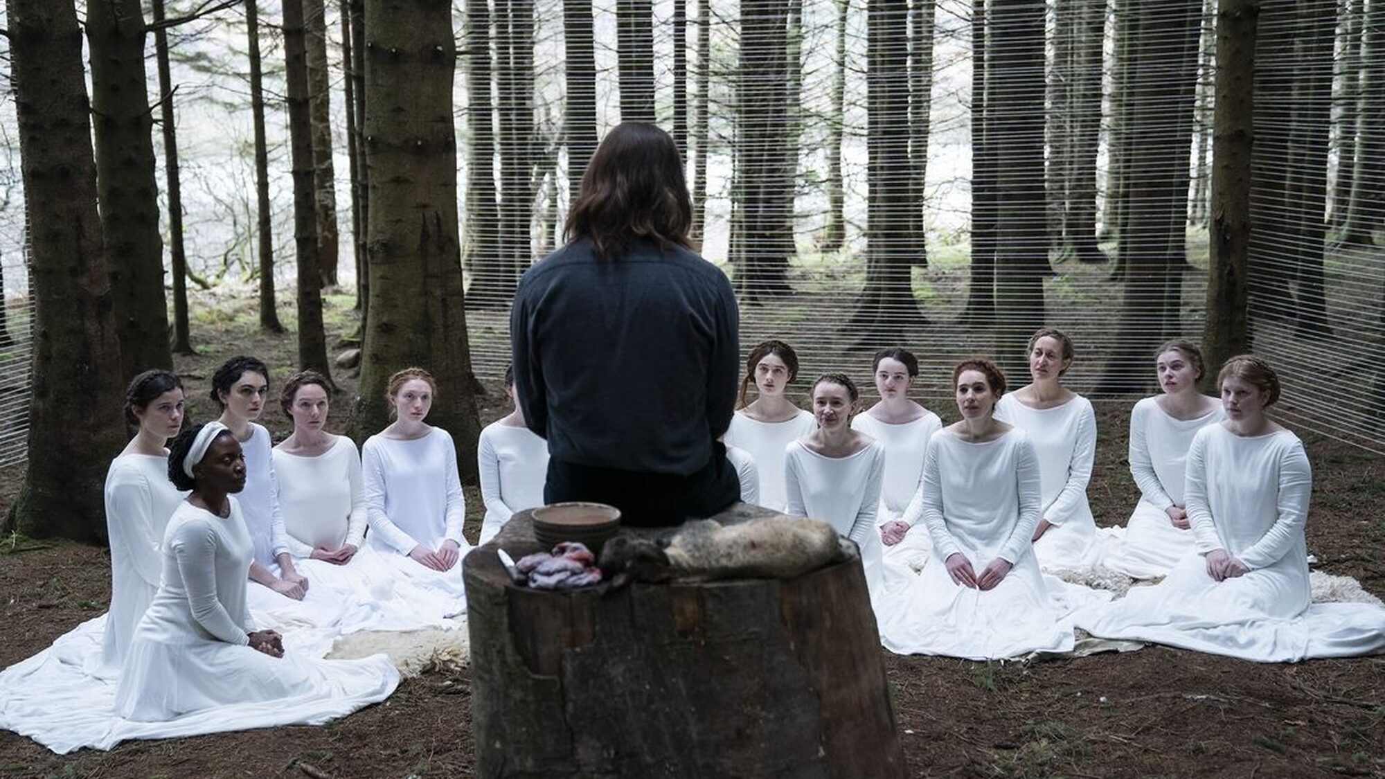 854 reviews The Other Lamb st 4 jpg sd low 1588673620