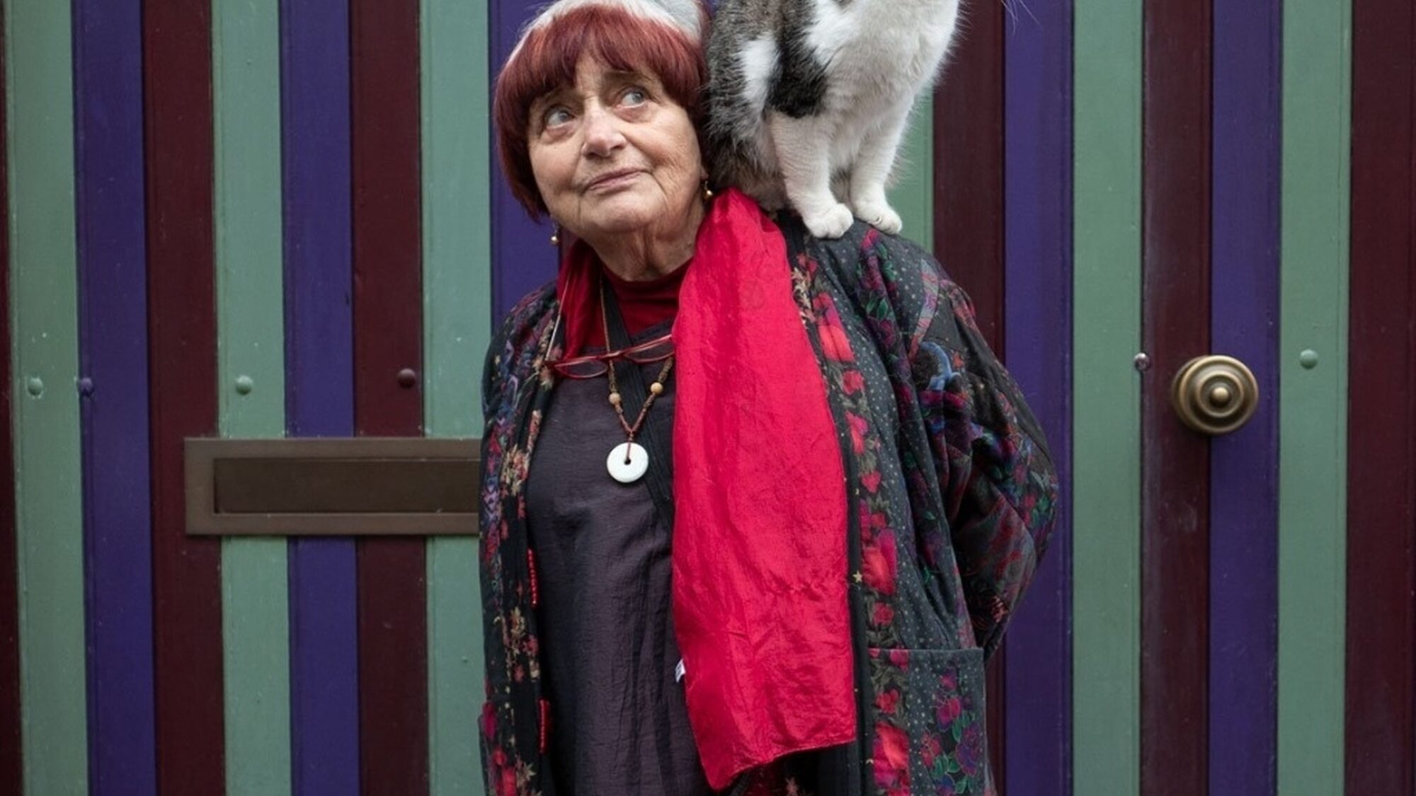 Agnes cat 2