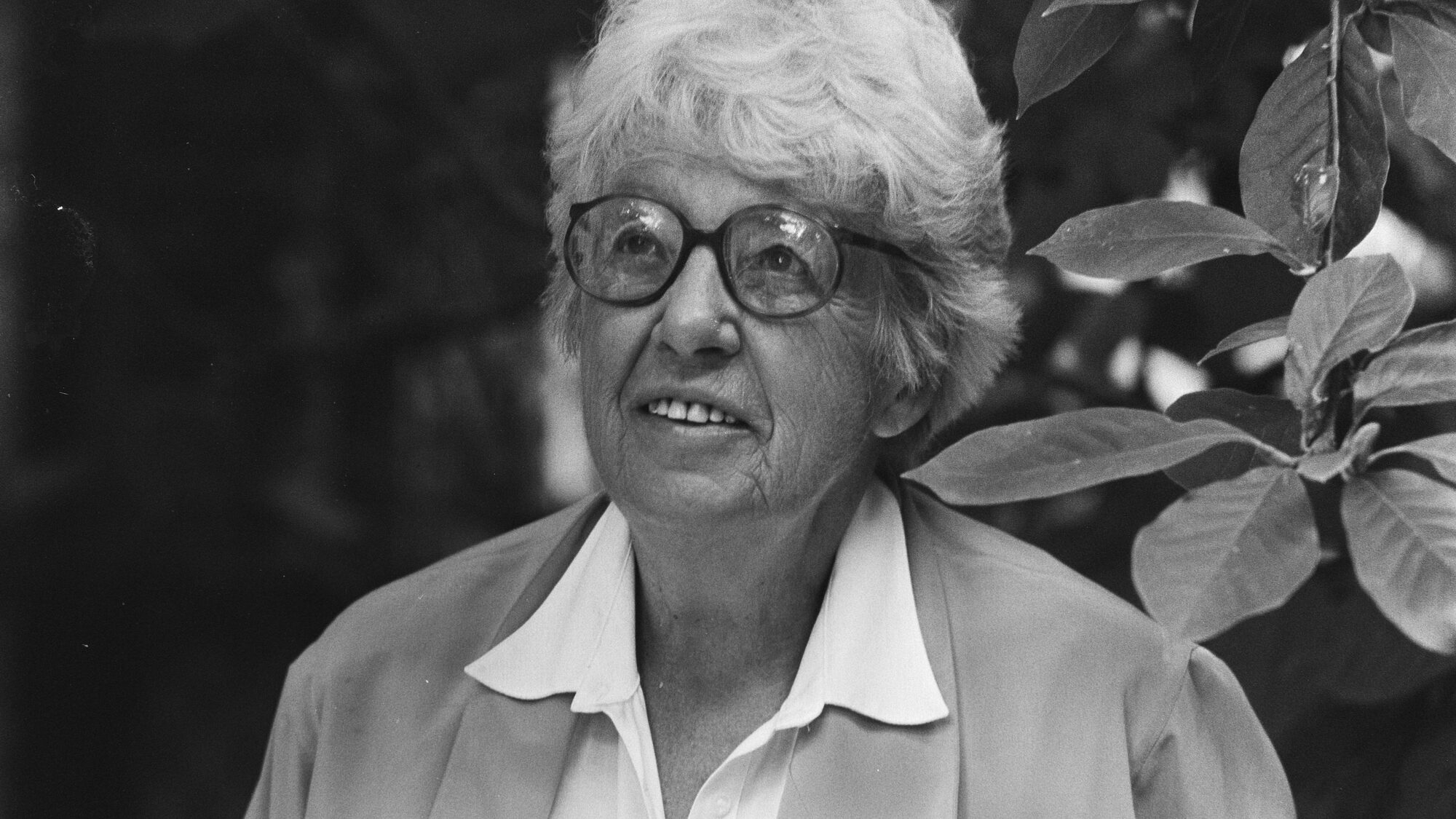 Annie M G Schmidt opdracht Gelderlander koppen Bestanddeelnr 933 7337