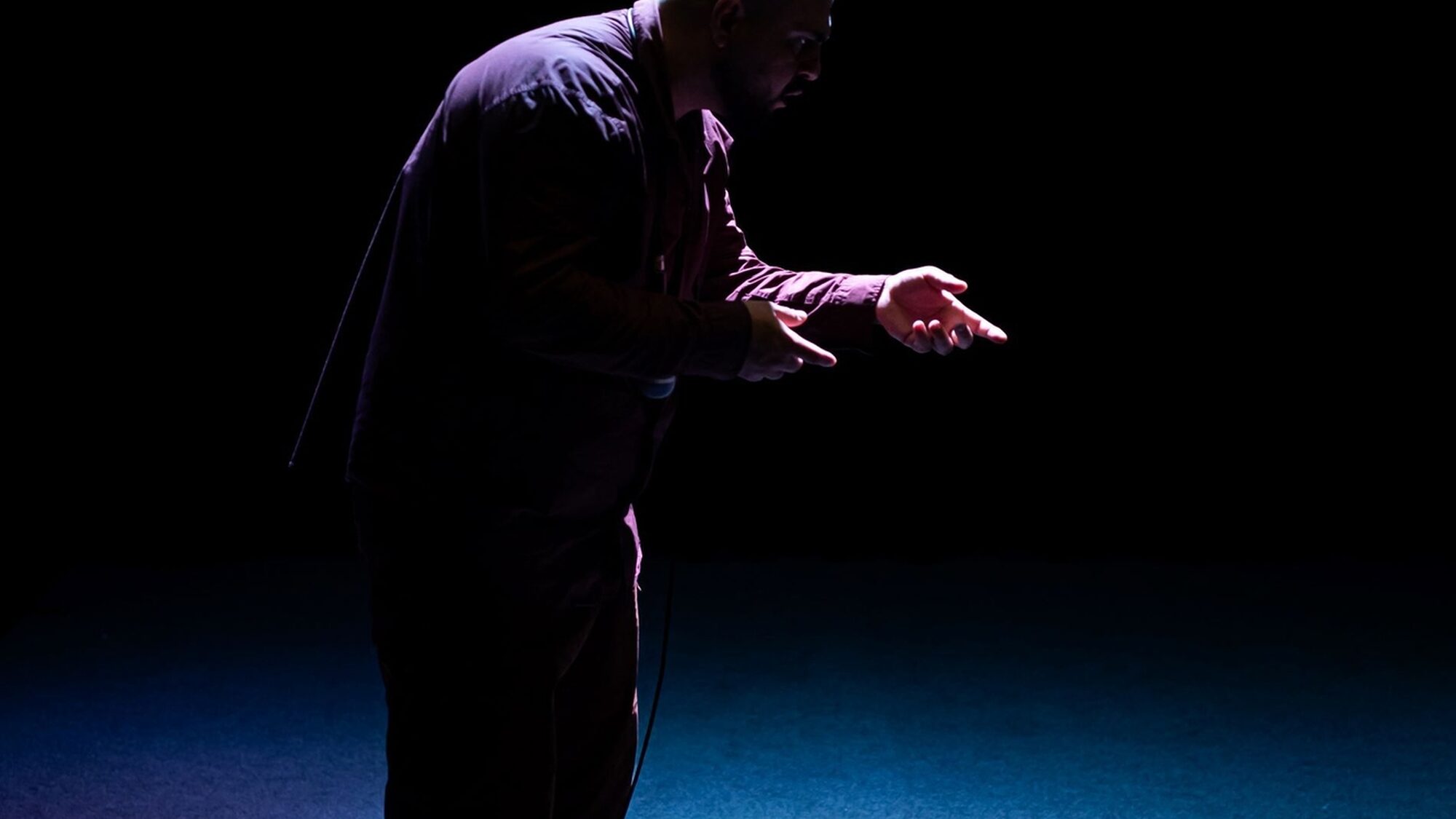 Copy of THE HORSE OF JENIN TROUPE COURAGE Kamerich Budwilowitz 9