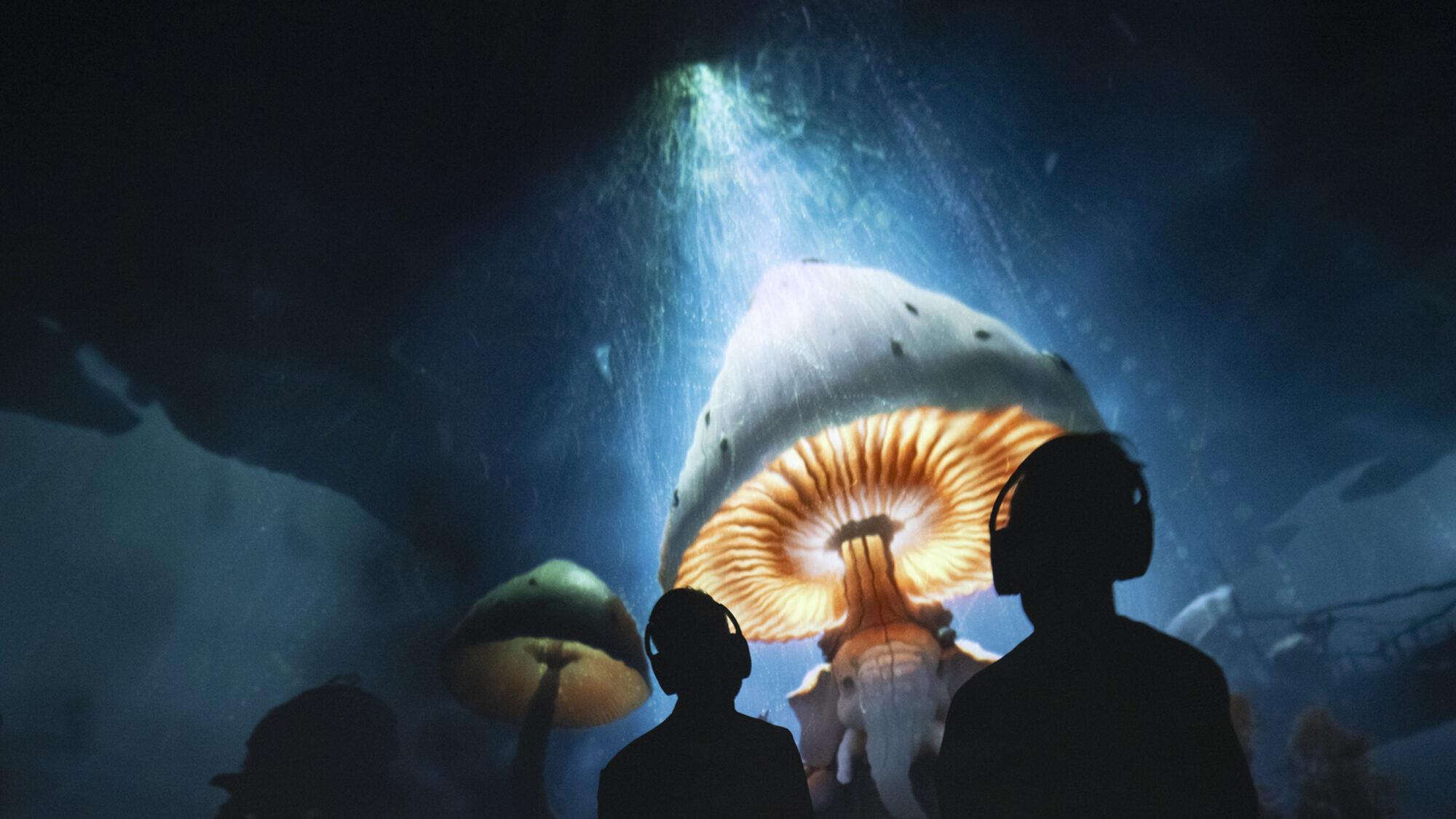 De Fundatie PT Oktober 2024 9841 Low Res