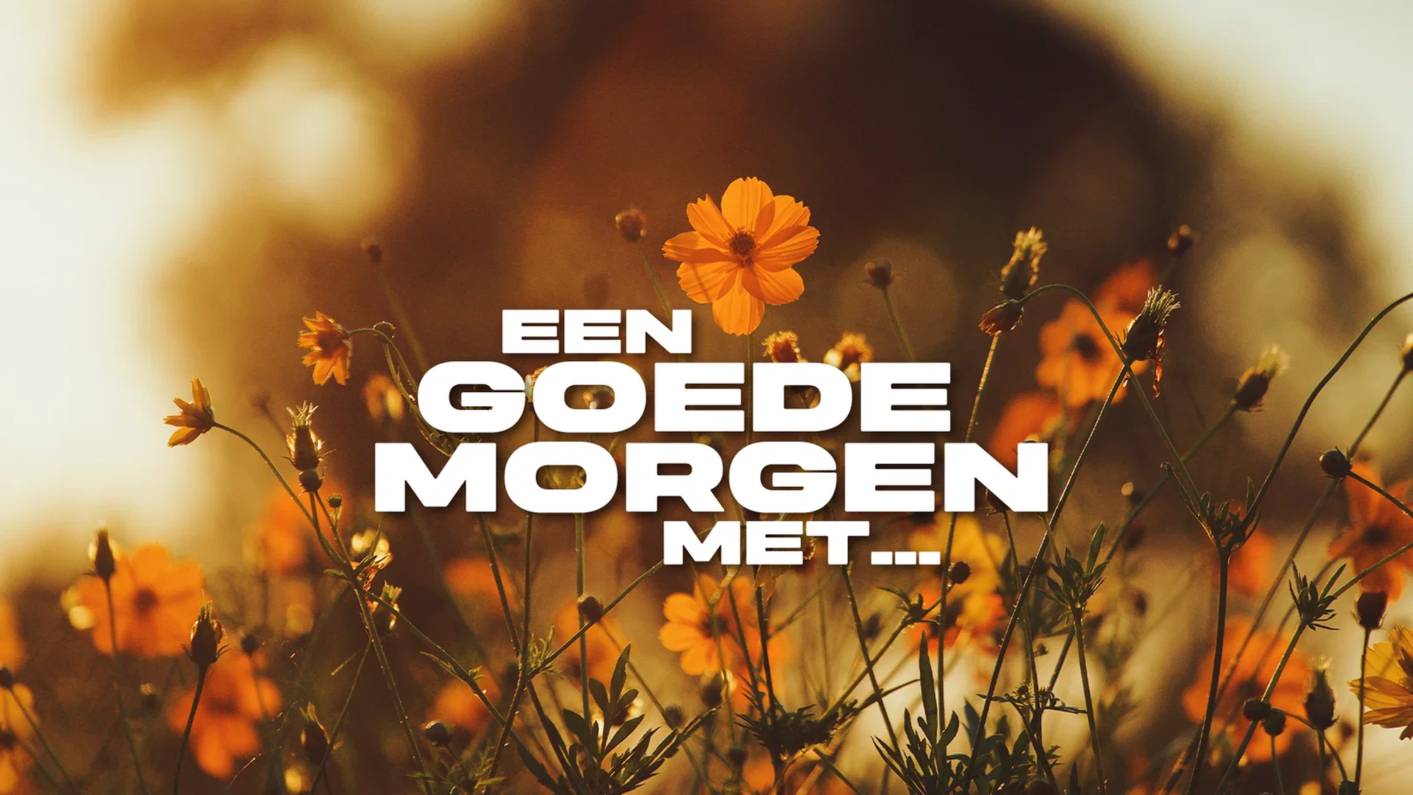 Logo 'Een goedemorgen met'
