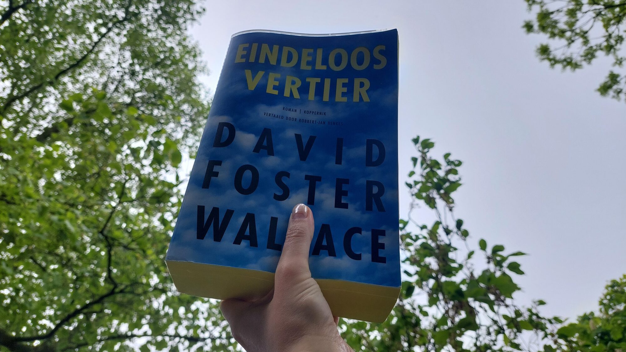 Eindeloos vertier David Foster Wallace